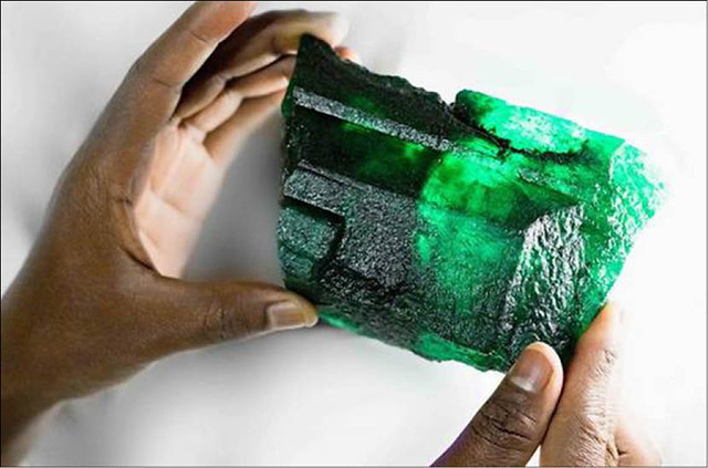 Đấu giá viên ngọc lục bảo 5 655 carat