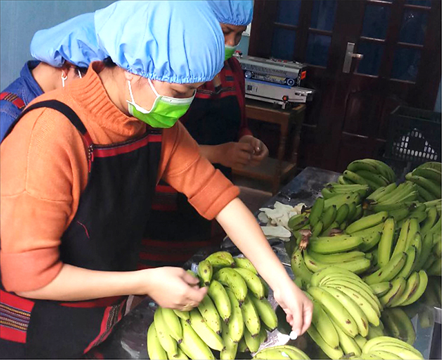 A Lưới phát triển chuỗi cung ứng nông sản an toàn