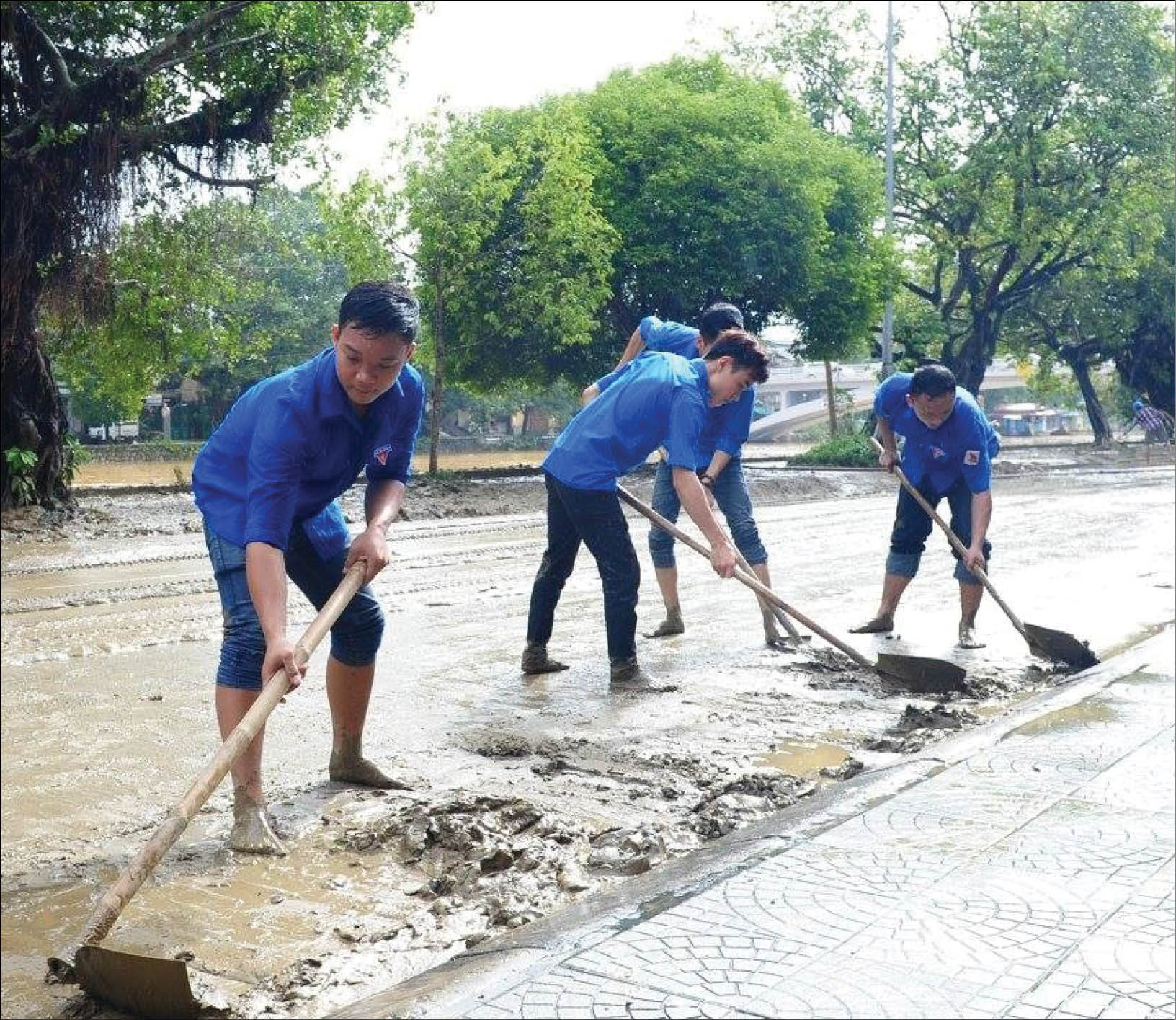 Phát triển đảng ở TP Huế Chú trọng cả số lượng và chất lượng