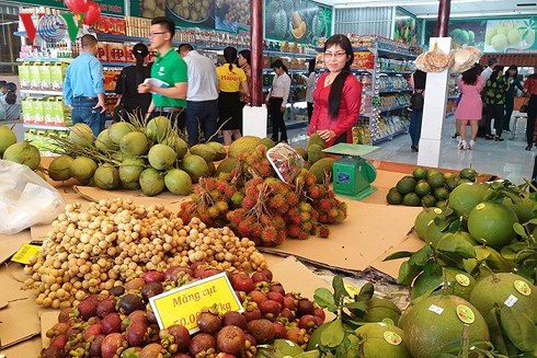 Hàng loạt nhà máy chế biến rau quả quy mô lớn sắp đi vào vận hành
