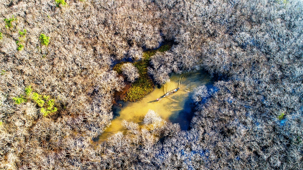 Lạ lùng Rú Chá mùa lá rụng