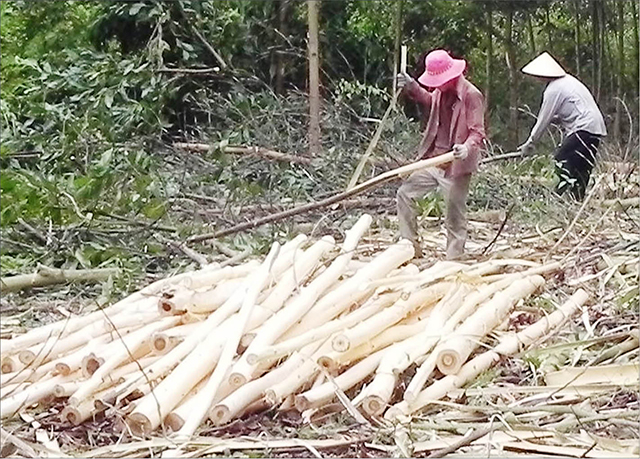 “Bà đỡ” cho Phú Sơn