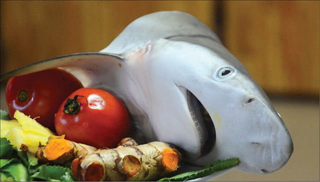 Sần sật canh chua cá nhám