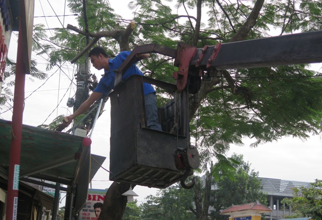 Chặt tỉa cành cây, tu bổ lưới điện trước mùa mưa bão