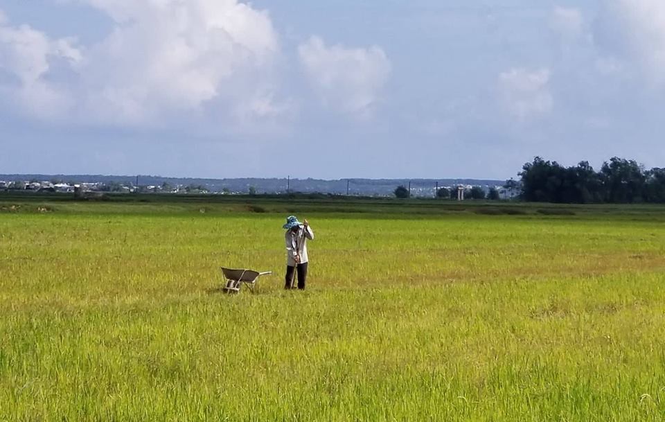 Chủ động các giải pháp thủy lợi để phòng, chống hạn hán