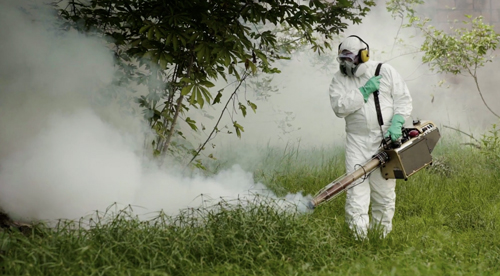 Nỗ lực đẩy lùi bệnh sốt rét trên toàn cầu