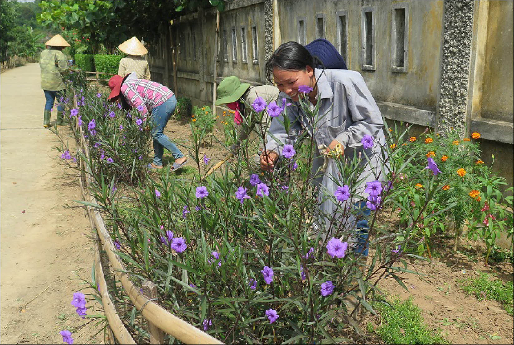 Đẹp lên từ những con đường hoa