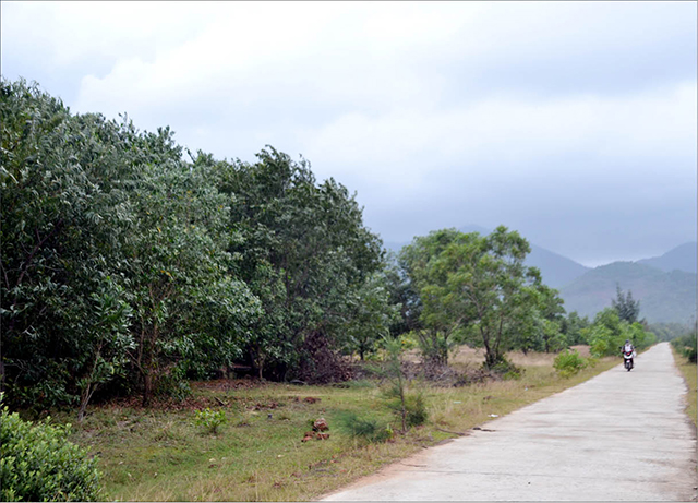 Yêu cầu kiểm tra, báo cáo sự việc
