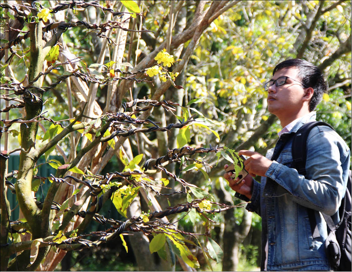 Hoa nở, người lo