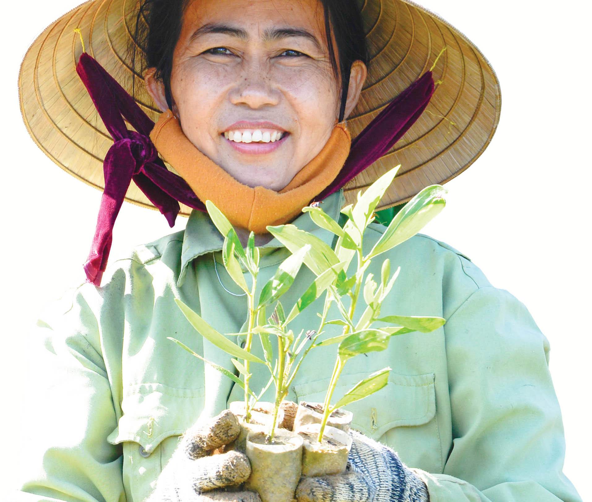 Ươm những mầm xanh