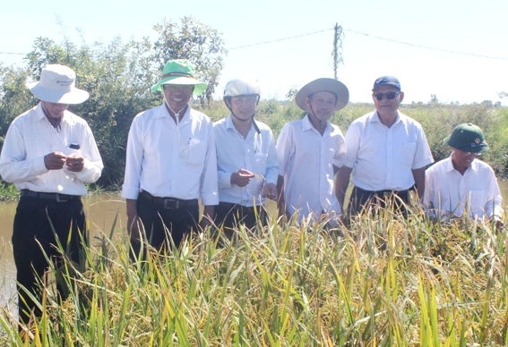 Hương Thủy Phát triển các sản phẩm có lợi thế cạnh tranh