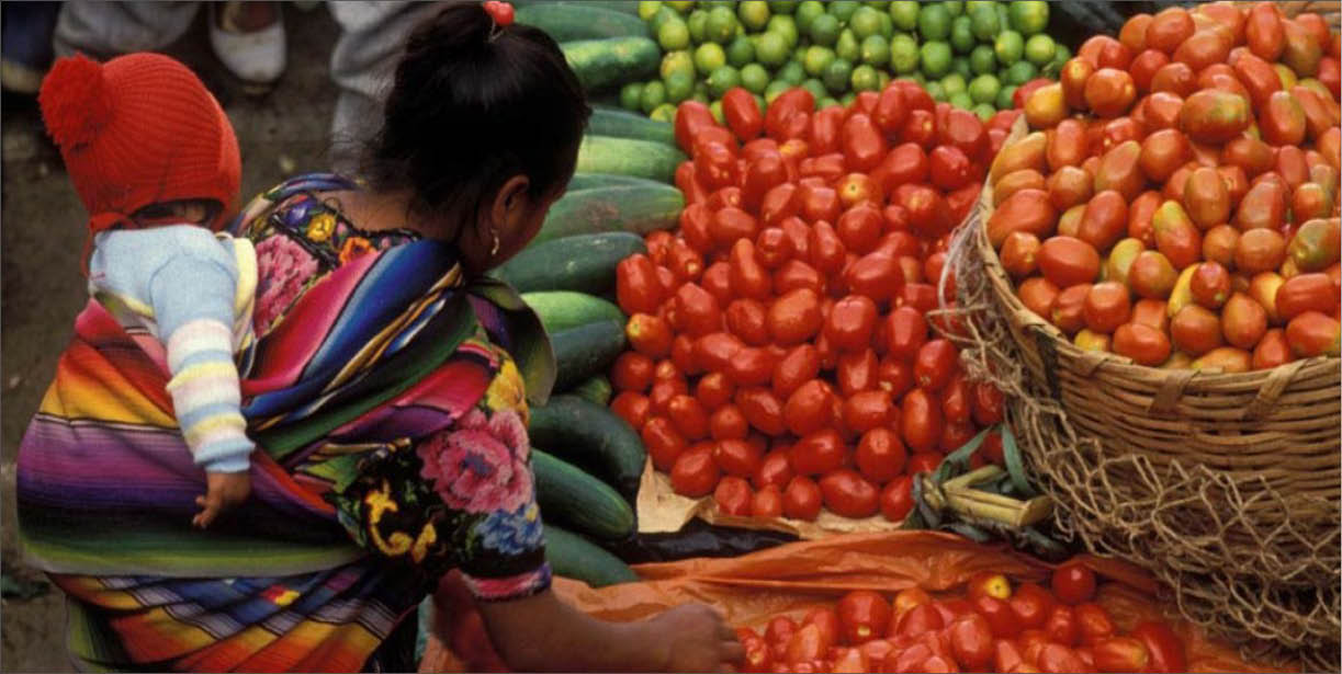 FAO kêu gọi sự thay đổi đối với hệ thống thực phẩm