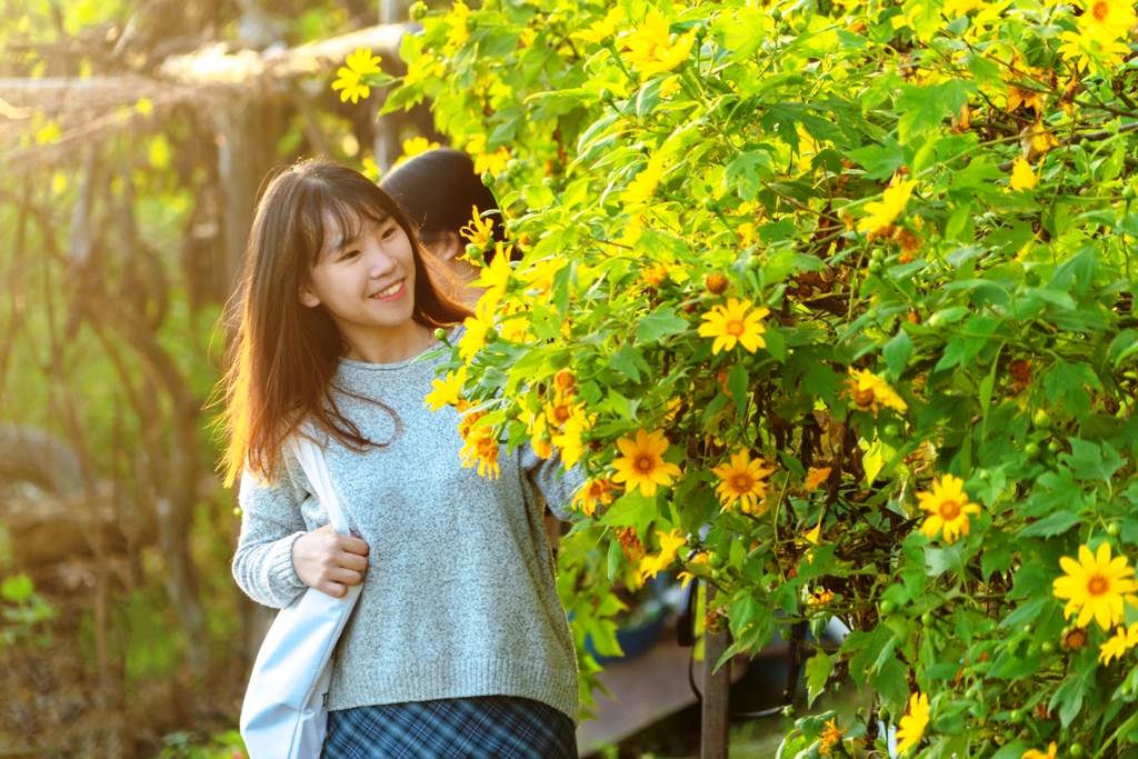 Dã quỳ trong lòng Huế