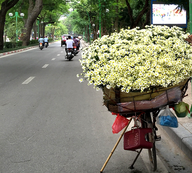 Thank you Hanoi