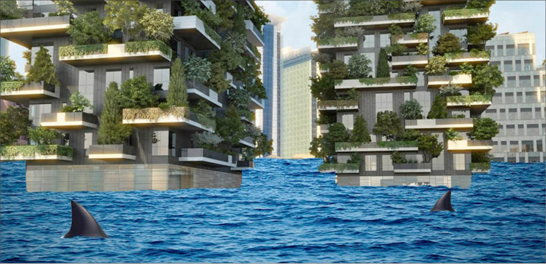 Canh tác theo chiều dọc để giải quyết vấn đề mất an ninh lương thực