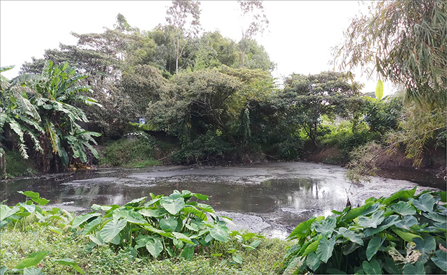 Điểm giết mổ gia súc gây ô nhiễm