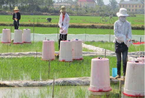 Giảm phát thải khí nhà kính từ nông nghiệp