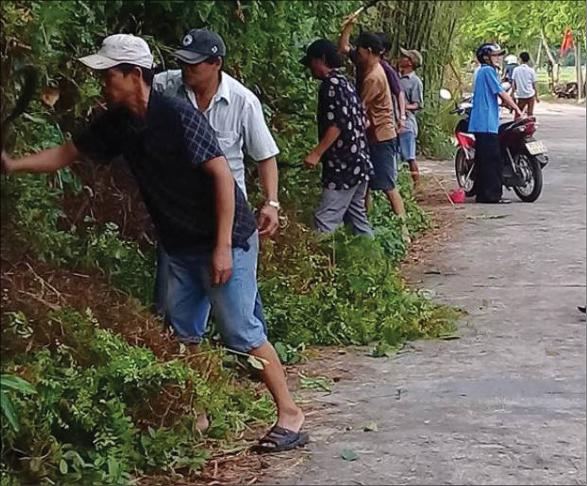 Đồng tâm làm đẹp đường quê