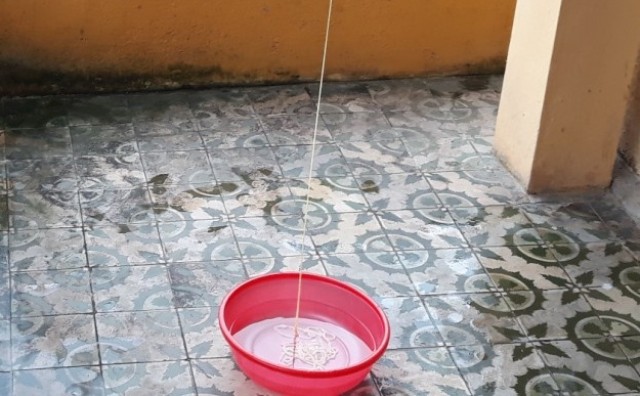 Lấy sán xơ mít dài hơn 10m từ một bệnh nhân nam