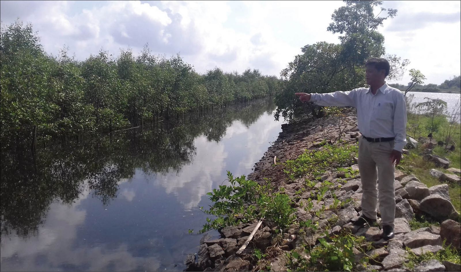 Ecotourism from Quang Loi mangrove forest