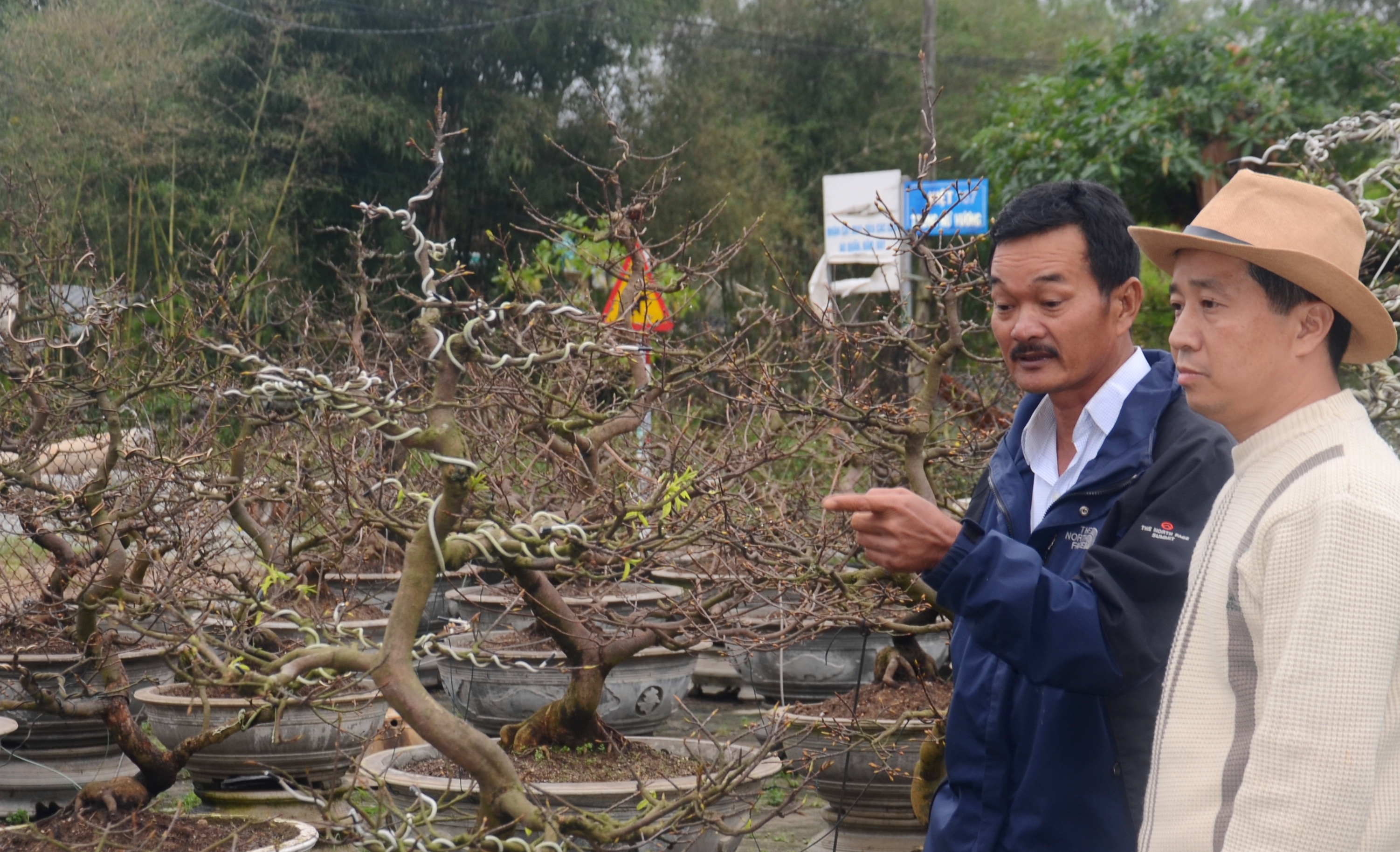 Hương Thủy Nhà vườn không lo “mất” Tết