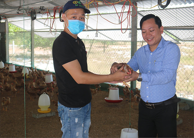 Khởi nghiệp bằng  gà