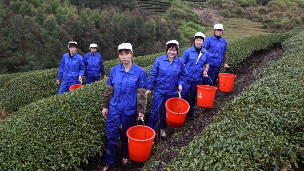 Nông nghiệp kỹ thuật số giải quyết tình trạng khan hiếm lương thực