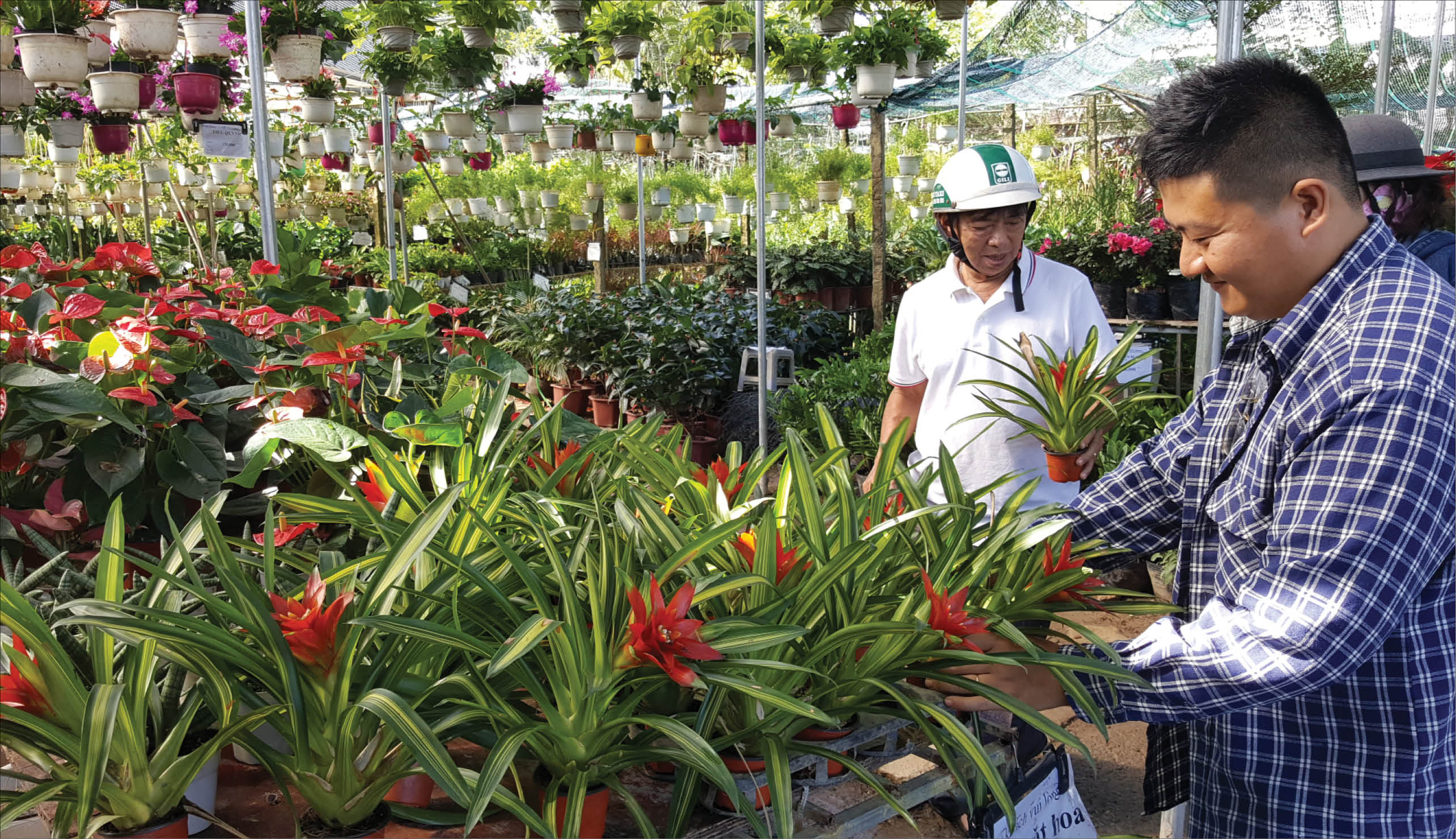 Hội nhập “trường đua” mua bán online