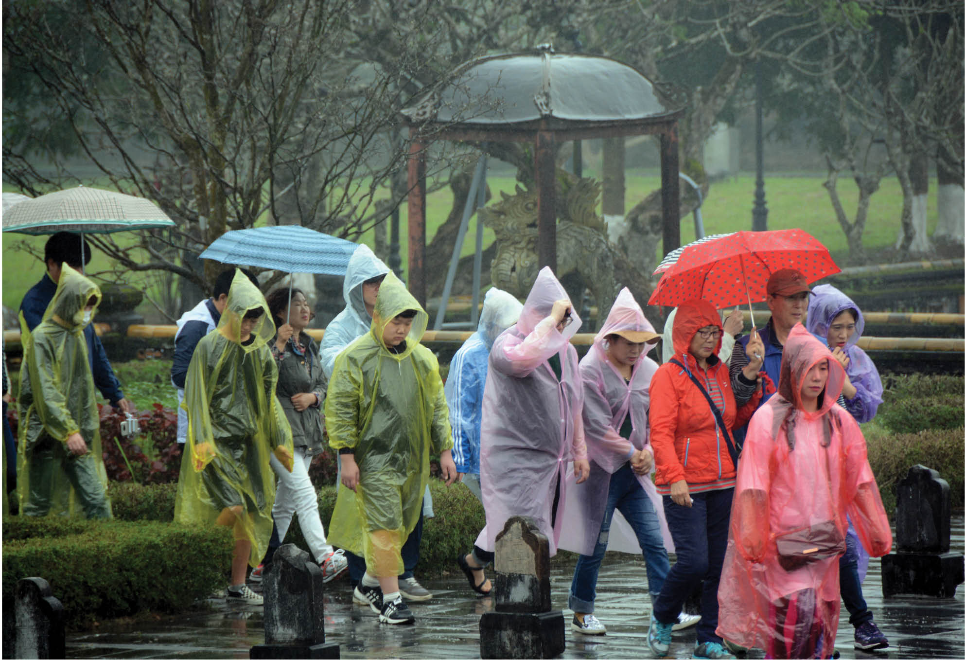 “Sắc màu” Huế trong mưa