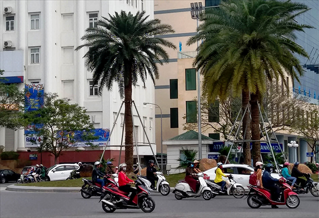 Đảm bảo an toàn giao thông dịp tết