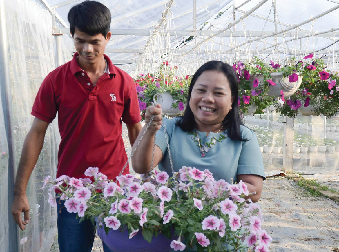 Hoa Đà Lạt trên đất Huế