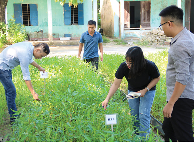 Đào tạo doanh nhân cho khu vực miền Trung - Tây Nguyên