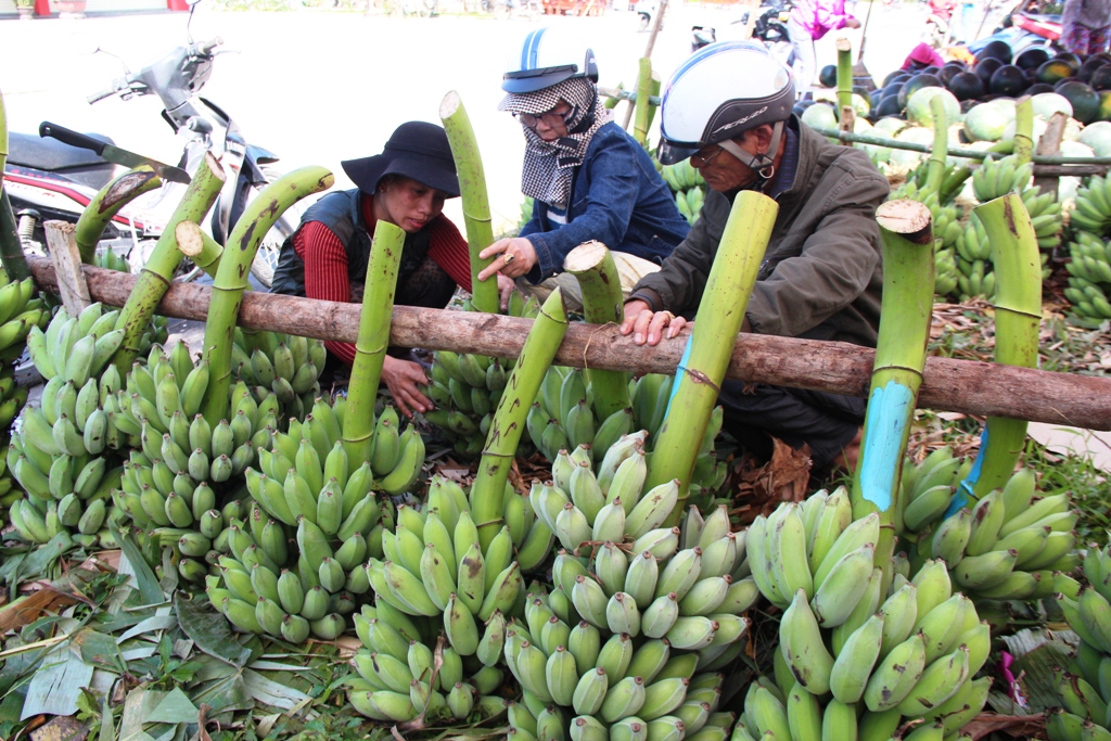 Sôi động thị trường hoa, quả trang trí tết