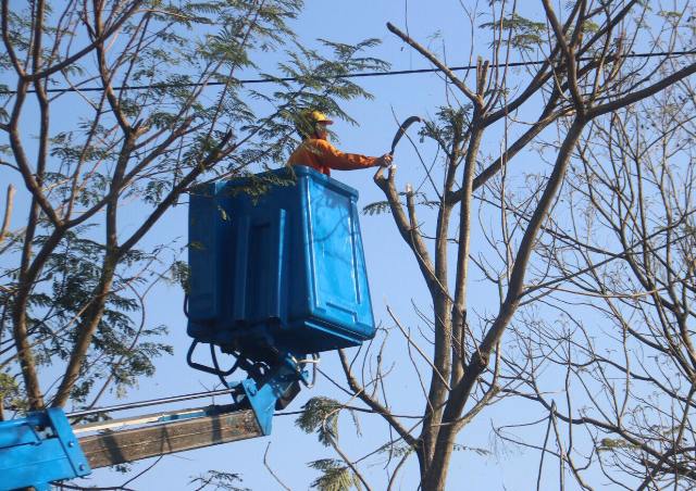 Khắc phục tồn tại trên lưới điện 22kV tại khu công nghiệp Phú Bài