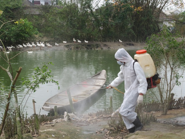 Đảm bảo an toàn thực phẩm, phòng chống dịch bệnh