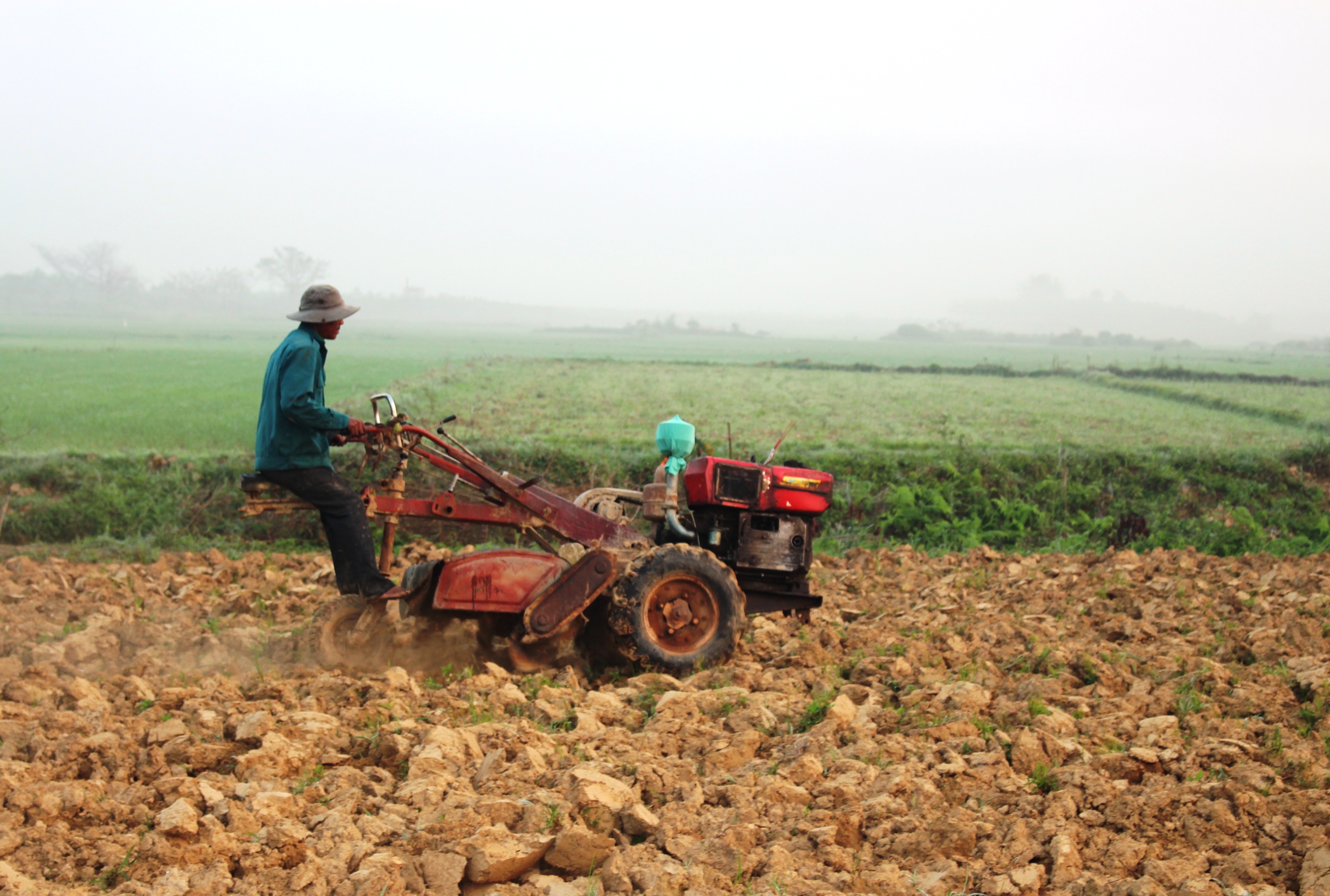 Nông dân Phong Điền tất bật xuống đồng sau tết