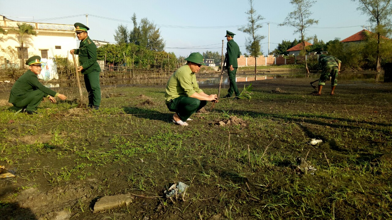 Trồng mới 35 ngàn cây dương bảo vệ dọc bờ biển Thuận An