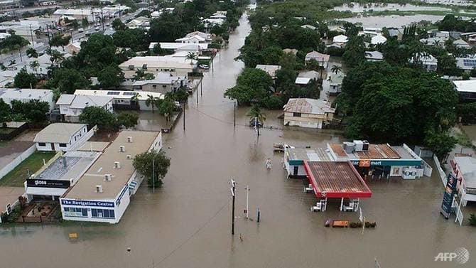 Australia Gia súc bị thiệt hại do lũ lụt