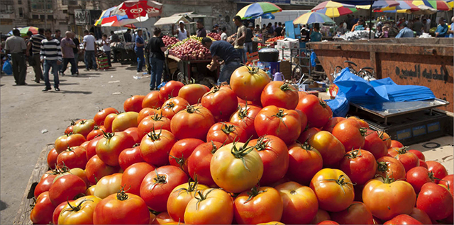 Lãnh đạo thế giới kêu gọi chia sẻ trách nhiệm ngăn chặn tử vong do thực phẩm