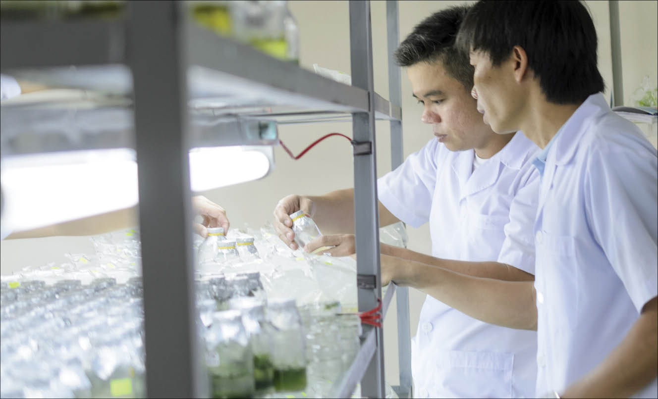 Phát triển các chương trình đào tạo ngắn hạn