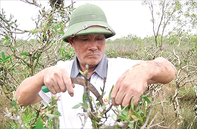 Chinh phục rú cát