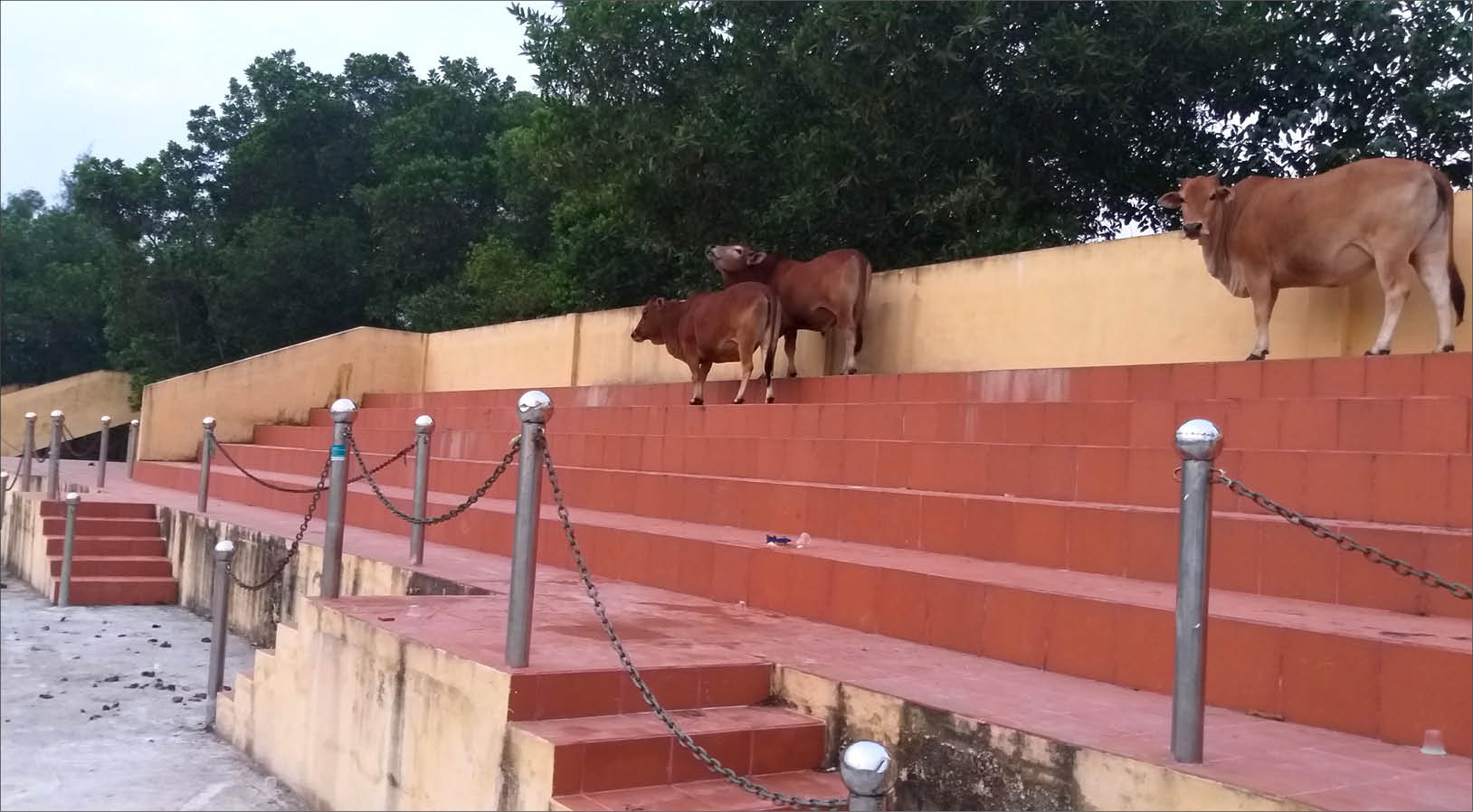 Nhếch nhác sân vận động Lại Thế