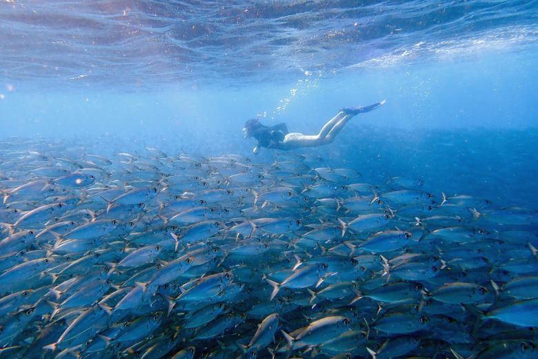 Nguồn cung thực phẩm đang bị đe dọa do suy giảm đa dạng sinh học