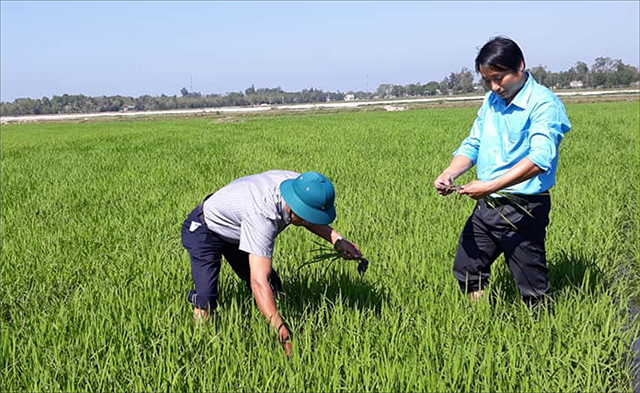 Lá cờ đầu trong phong trào thi đua