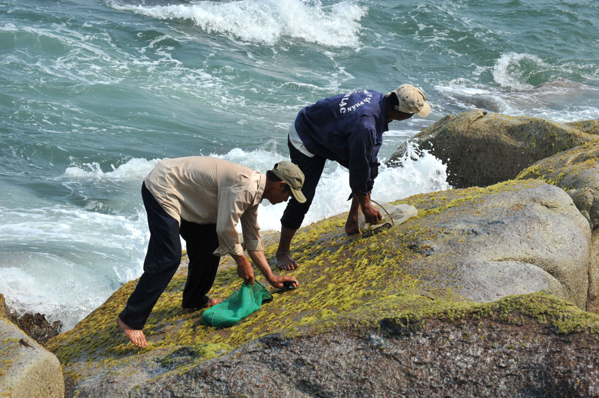 Chắt chiu rau mứt ngoài ghềnh