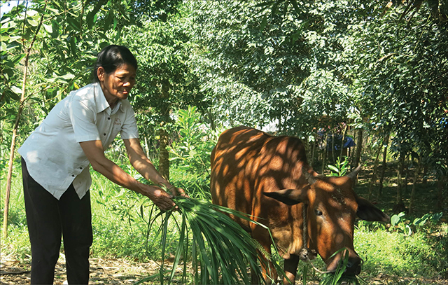 Cú hích cho người nghèo