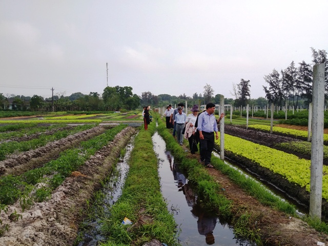 Hình thành chuỗi cung ứng nông sản từ khâu sản xuất đến tiêu thụ