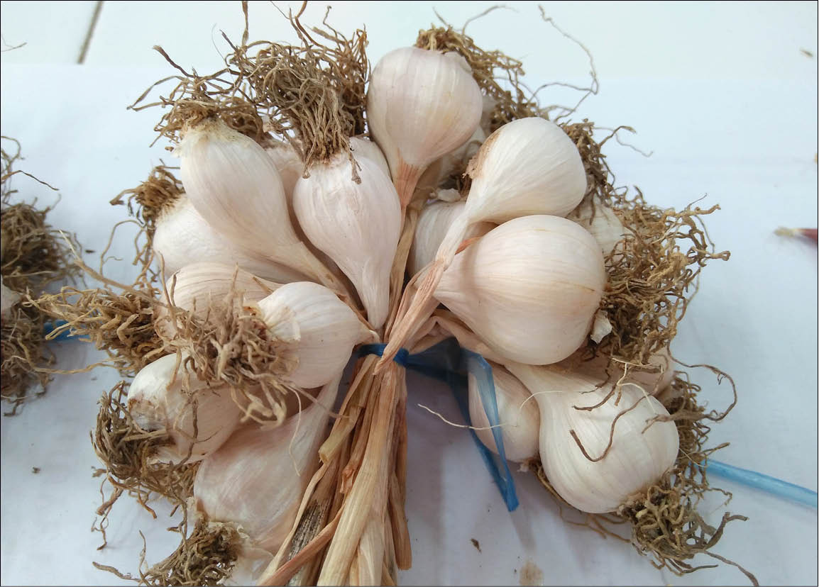 Ly Son garlic made in Hue