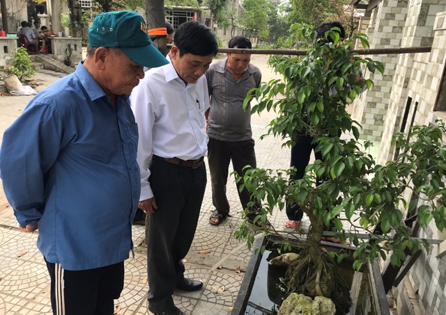 Kịp thời phòng ngừa khi sốt xuất huyết xuất hiện