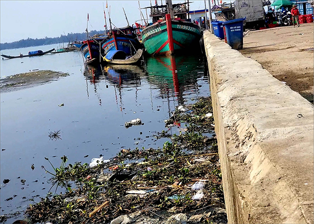 Cảng cá Thuận An vẫn còn ô nhiễm